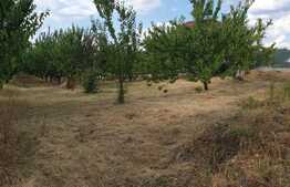 Parcelă de 670 mp zona Gheorghe Doja
