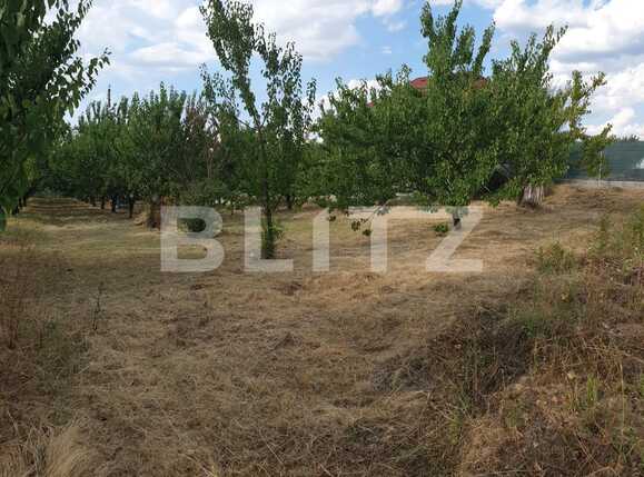 Teren de vânzare Dealuri Oradea - 69708TV | BLITZ Oradea | Poza2