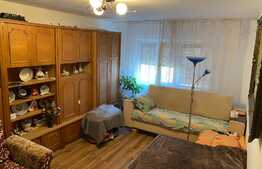 Apartament cu 2 camere, tip PB mare, zona Piata Rogerius