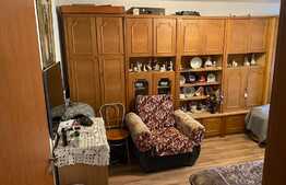 Apartament cu 2 camere, tip PB mare, zona Piata Rogerius