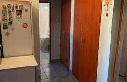Apartament cu 2 camere, tip PB mare, zona Piata Rogerius