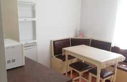 Garsoniera de inchiriat, in Calea Aradului 