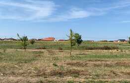 Oportunitate! Teren intravilan de 500 mp, zona Grigorescu