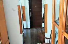 Apartament de doua camere, 47 mp, parter, zona garii