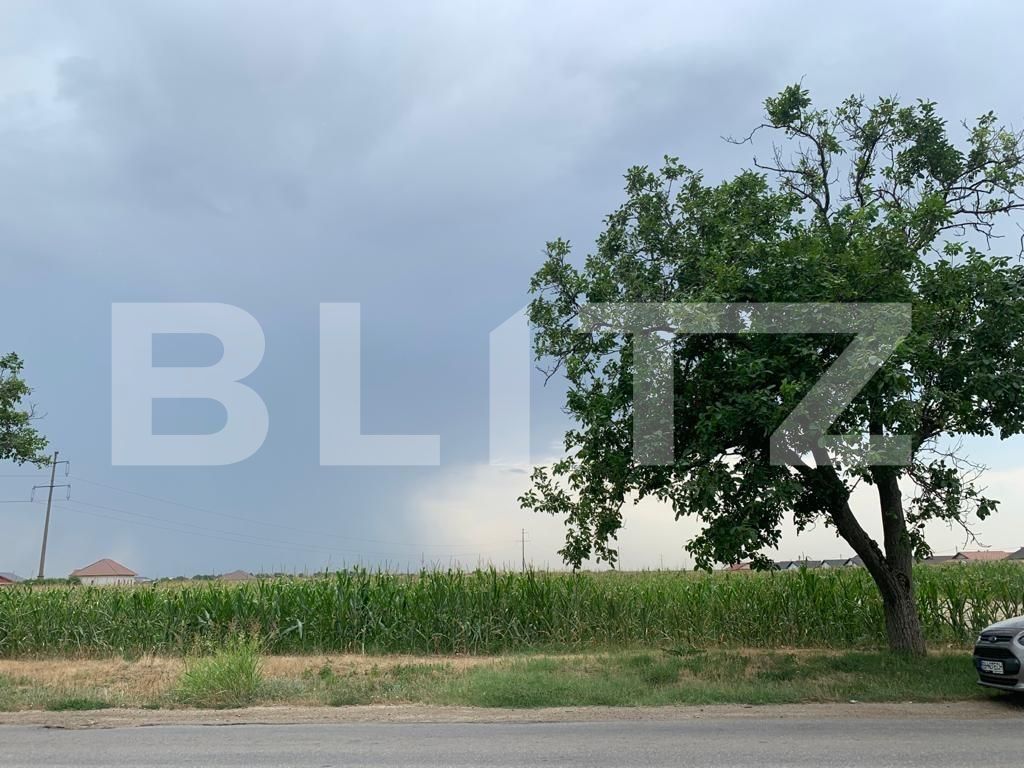 Teren de vânzare Santandrei - 70173TV | BLITZ Oradea | Poza5