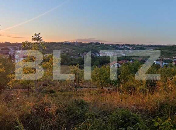 Teren de vânzare Dealuri Oradea - 70191TV | BLITZ Oradea | Poza10
