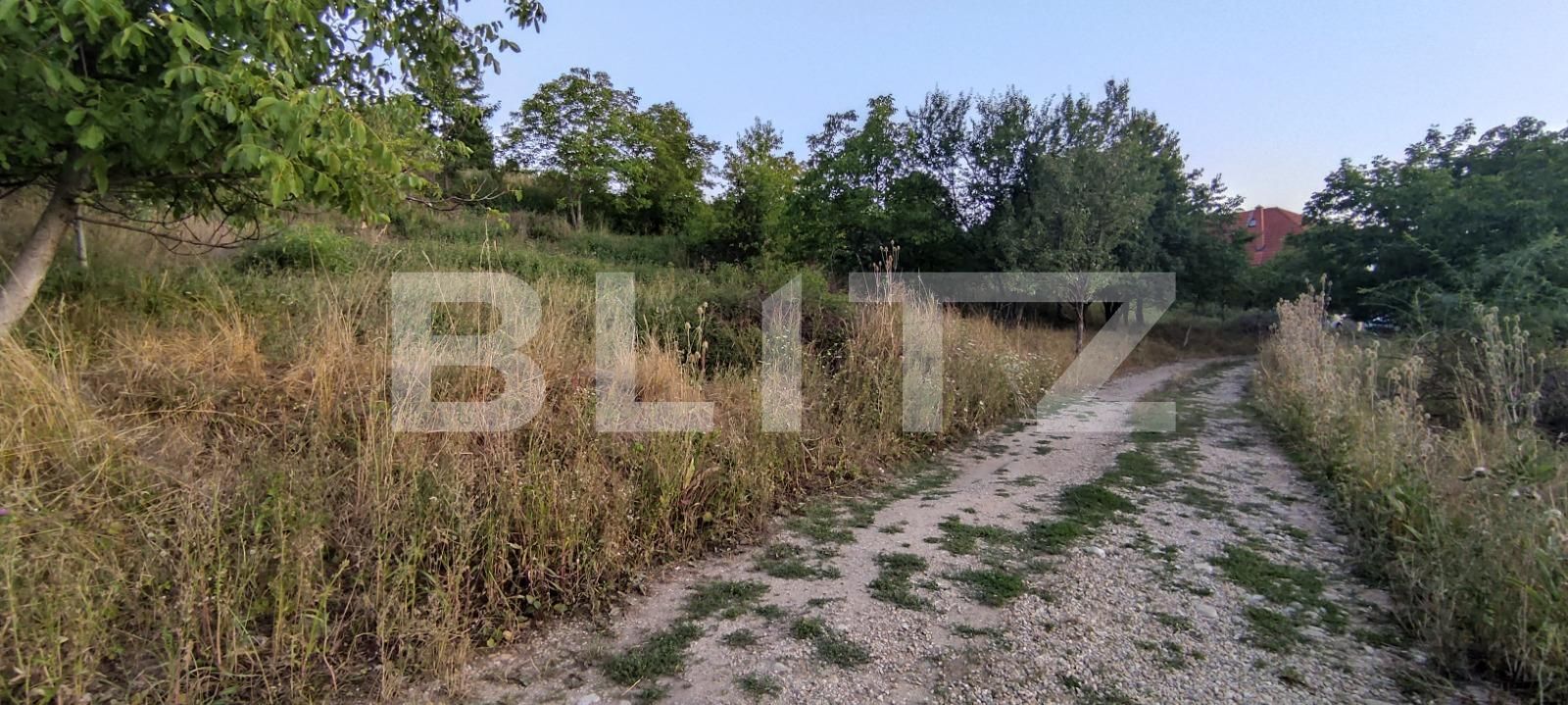 Teren de vânzare Dealuri Oradea - 70191TV | BLITZ Oradea | Poza8