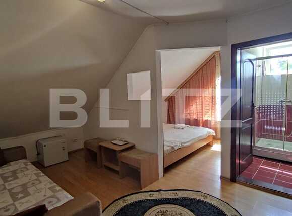 Casa de vânzare 14 camere Baile 1 Mai - 70204CV | BLITZ Oradea | Poza10
