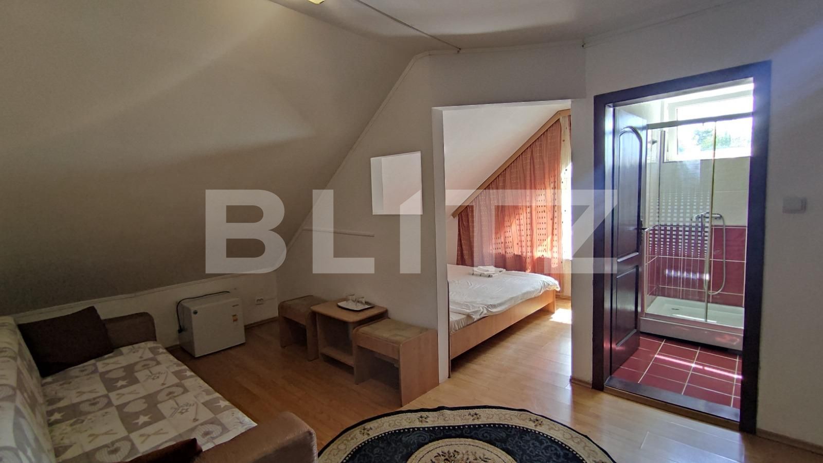 Casa de vânzare 14 camere Baile 1 Mai - 70204CV | BLITZ Oradea | Poza10
