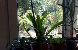 OFERTA  AVANTAJOASA! Apartament de 2 camere in zona Piata 1 Decembrie, aproape de Centru!