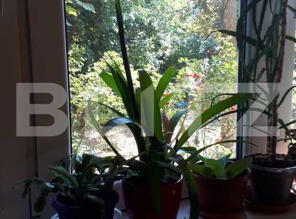 Apartament de vânzare 2 camere Ultracentral - 70319AV | BLITZ Oradea | Poza2