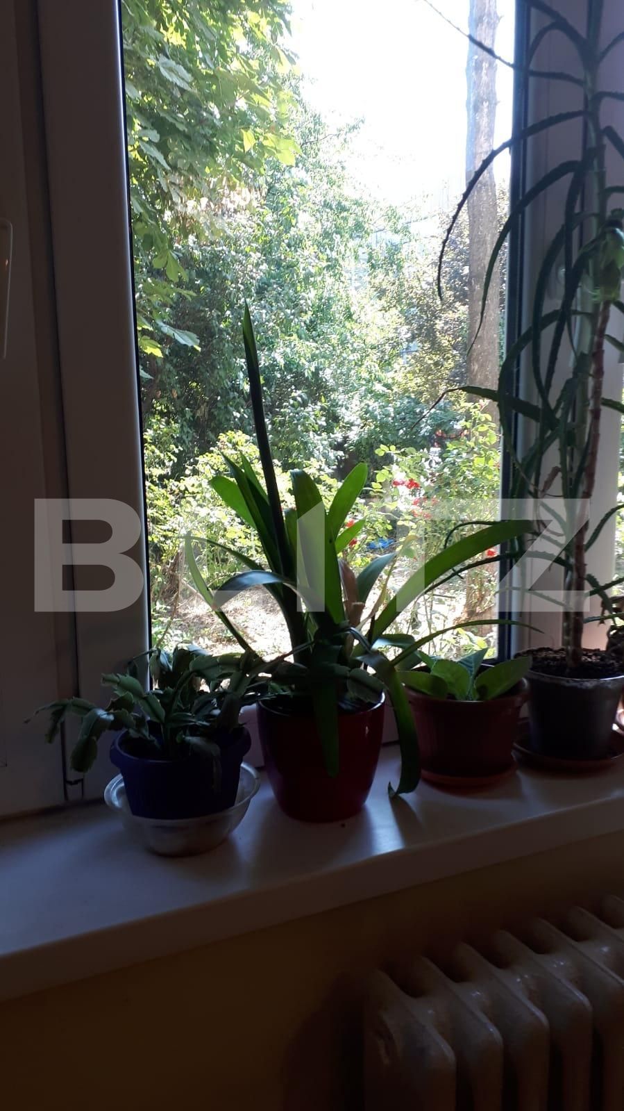 Apartament de vânzare 2 camere Ultracentral - 70319AV | BLITZ Oradea | Poza2