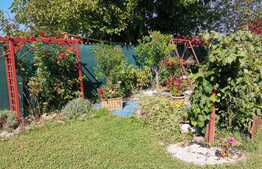 Oportunitate! Casă de vânzare, în Ineu de Criș, 28 mp utili, teren de 485 mp