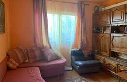 Oportunitate! Casă de vânzare, în Ineu de Criș, 28 mp utili, teren de 485 mp