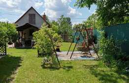 Oportunitate! Casă de vânzare, în Ineu de Criș, 28 mp utili, teren de 485 mp