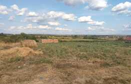 Teren intravilan de 2460 mp, Sanmartin