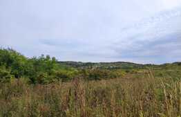 Oportunitate! Teren 3030 mp, zona Gheorghe Doja