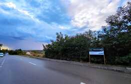 Oportunitate! Teren intravilan, 3081 mp, zona Gheorghe Doja