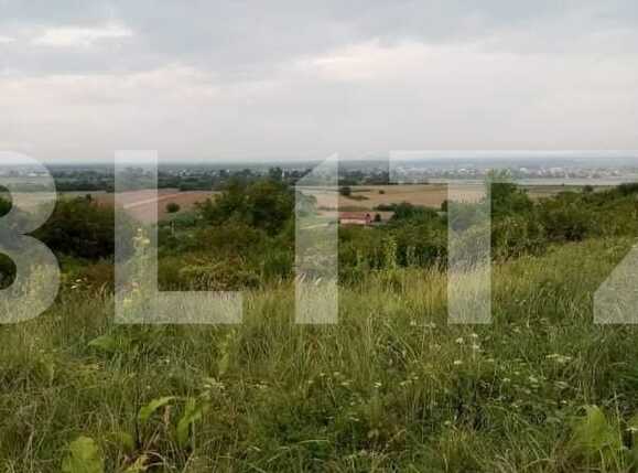Teren de vânzare Podgoria - 70553TV | BLITZ Oradea | Poza4