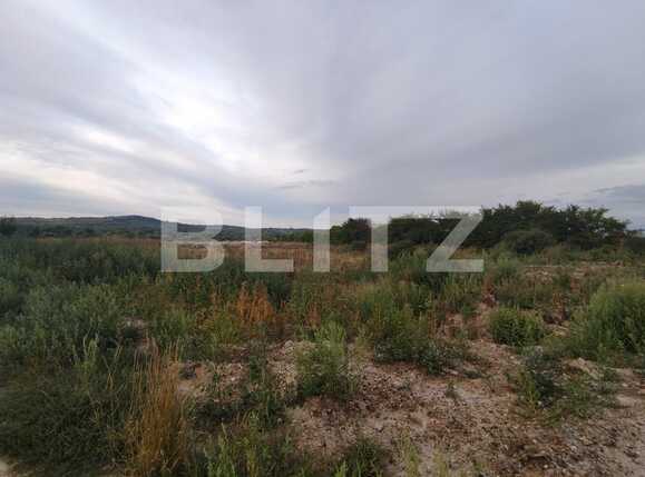 Teren de vânzare Tokai - 70583TV | BLITZ Oradea | Poza1