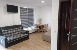 Garsonieră la casa, 26 mp utili, 100 mp teren, parter înalt, zona Dorobanților