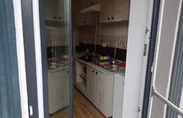 Garsonieră la casa, 26 mp utili, 100 mp teren, parter înalt, zona Dorobanților