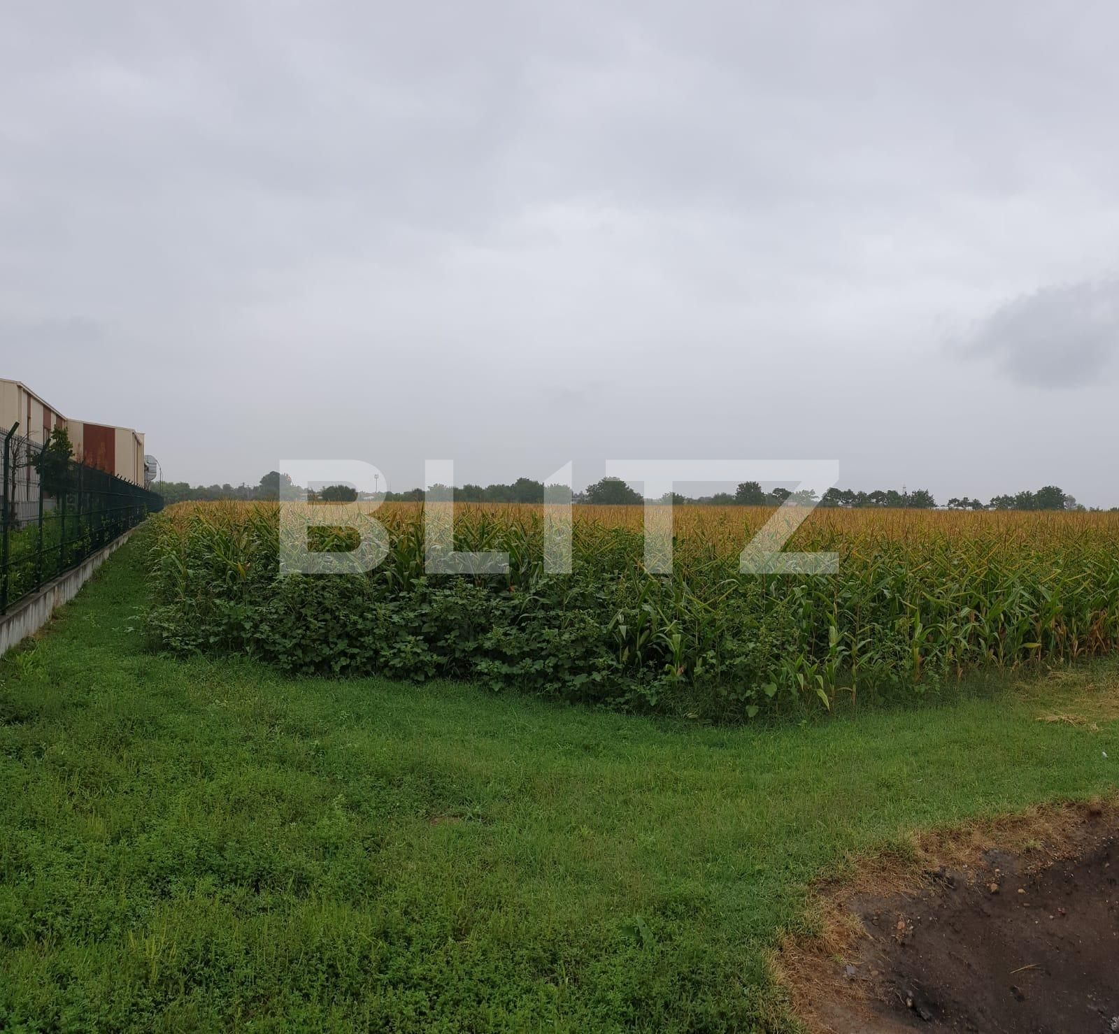 Teren de vânzare Sud-Vest - 70621TV | BLITZ Oradea | Poza3