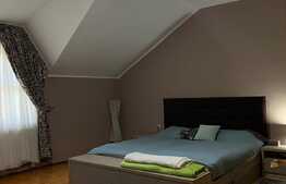 Oportunitate! Casă P+M, 254 mp utili, teren de 170 mp, zona Ultracentrală