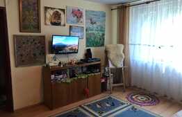 Investitie! Apartament de 2 camere, 50 mp, etaj intermediar, zona Rogerius