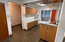 Apartament de 2 camere, PB mare, 55 mp, zona Ioșia