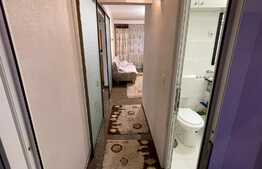 Apartament de 2 camere, PB mare, 55 mp, zona Ioșia