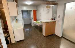 Apartament de 2 camere, PB mare, 55 mp, zona Ioșia