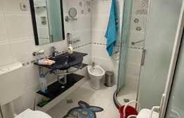 Apartament de 2 camere, PB mare, 55 mp, zona Ioșia