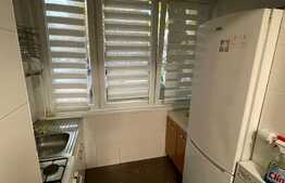 Apartament de 2 camere, PB mare, 55 mp, zona Ioșia