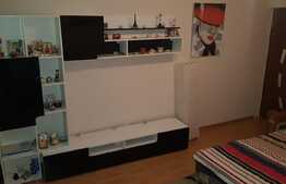 Apartament de inchiriat, 2 camere, zona Bulevardul Dacia 