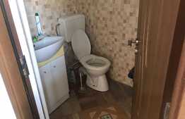 Casă 3 camere,105 mp utili, teren 235 mp, Ioșia