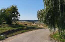 Teren de 3646 mp în Hidișel