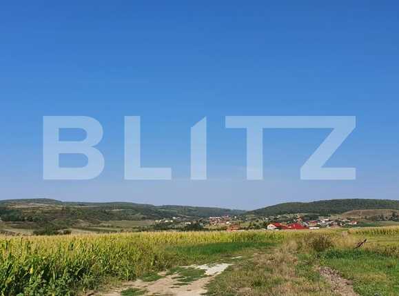 Teren de vânzare Exterior Est - 71325TV | BLITZ Oradea | Poza1