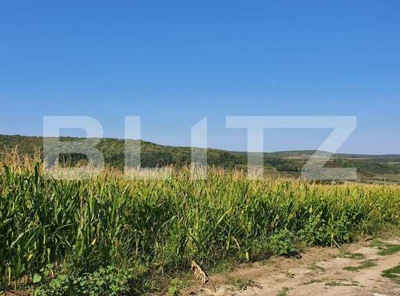 Teren de vânzare Exterior Est - 71325TV | BLITZ Oradea | Poza4