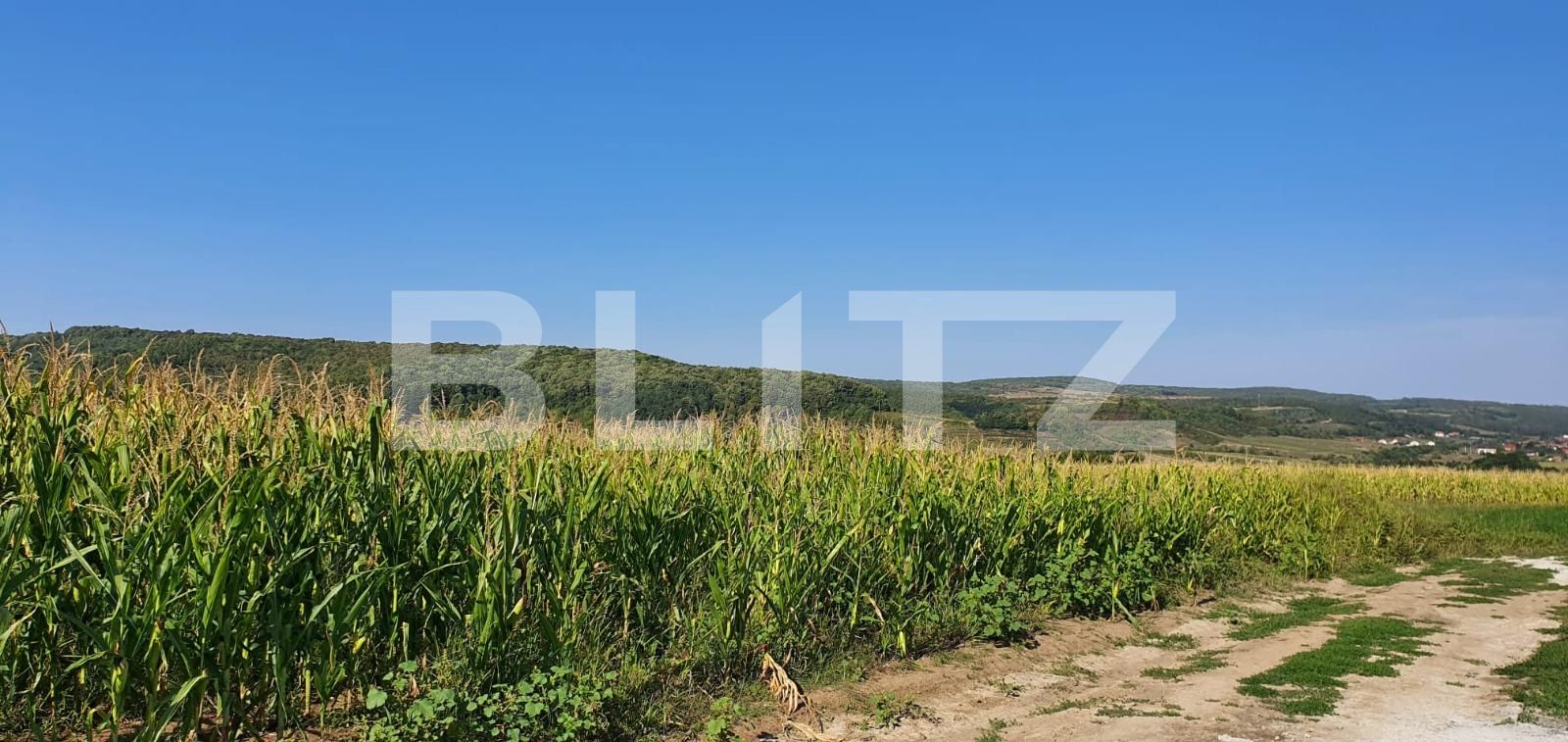 Teren de vânzare Exterior Est - 71325TV | BLITZ Oradea | Poza4