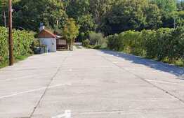 Pensiune de 17 camere lângă Felix