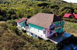 Pensiune de 17 camere lângă Felix