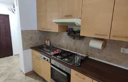 Apartament cu o camera, zona Dragos Voda! 