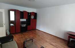 Apartament cu o camera, zona Dragos Voda! 