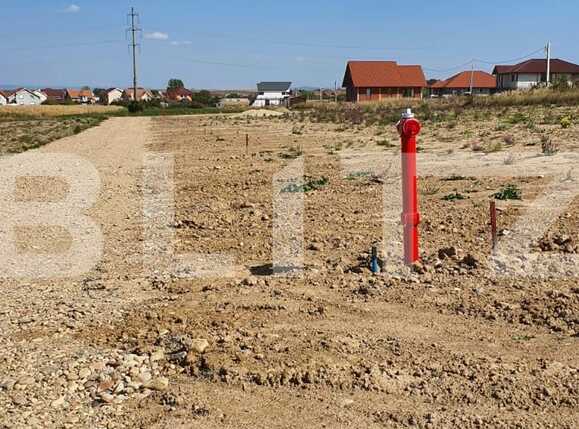 Teren de vânzare Sud-Vest - 71476TV | BLITZ Oradea | Poza5