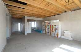 Casa pe un nivel, 125 mp utili, 571 mp teren, Santandrei