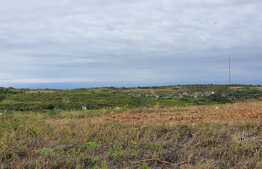 Parcelă zona Gheorghe Doja cu panoramă