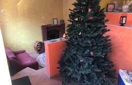 Oportunitate! Casa compusa din 2 corpuri, 180 de metri patrati construiti si teren de 1104 metri patrati in Osorhei!