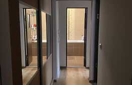 Apartament deosebit cu 3 camere decomandate, zona Nufarul