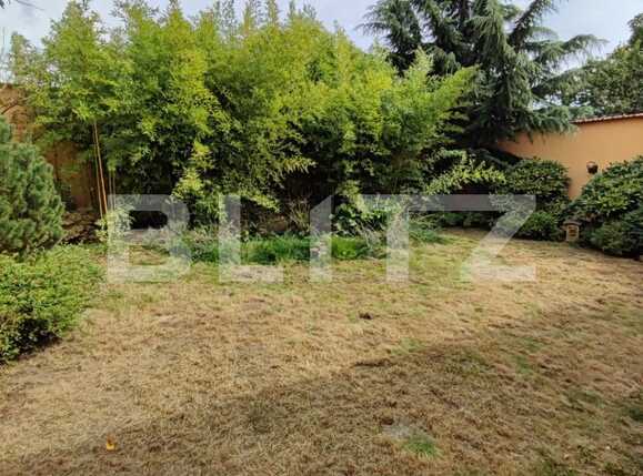 Casa de închiriat 3 camere Cantemir - 72295CI | BLITZ Oradea | Poza19